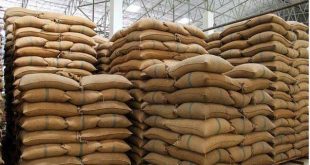 Vinafood 2 will supply the first 250,000 tons of rice to Bangladesh gao bangladesh 310x165