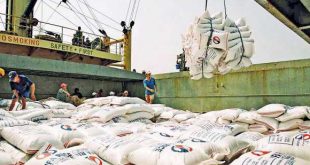 Rice exports: Small businesses look forward to &#8220;unbind&#8221; xuat khau gao 3 310x165