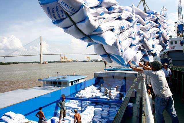 Export of rice to the European market increased sharply xuat khau gao 4 1
