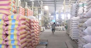 Many Vietnamese rice exporters are excluded from the US market xuat gao mi 310x165