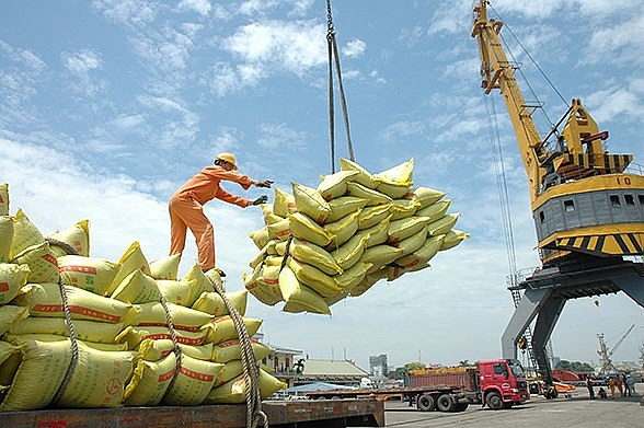 0940_xkgao 0940_xkgao Xuất khẩu gạo sụt giảm mạnh 0940 xkgao