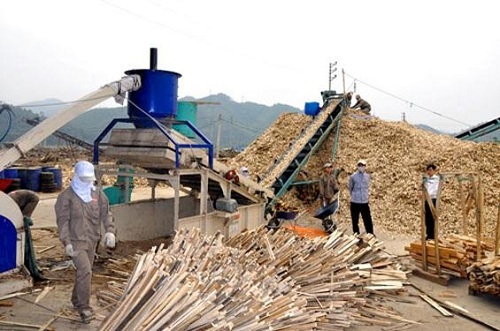 damgo damgo Dự kiến điều chỉnh thuế xuất khẩu dăm gỗ lên 5% damgo