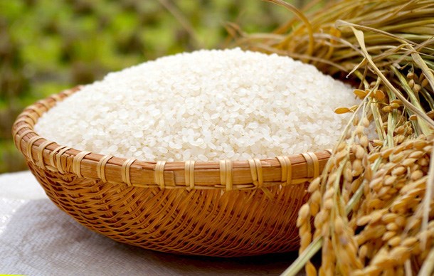 Lúa gạo Châu Á: Giá gạo Việt Nam và Thái Lan vững, gạo Ấn Độ giảm rice LVYV