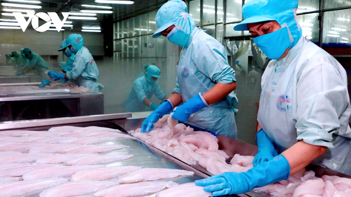 catra7 catra7 Tận dụng EVFTA, xuất khẩu 2 tháng đầu năm tăng trưởng ấn tượng catra7