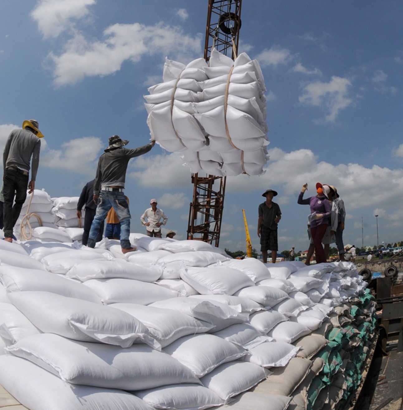 Giá gạo Việt xuất khẩu vượt mặt Thái Lan, Ấn Độ anh1 jybs