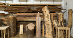 Nhập khẩu gỗ nguyên liệu tăng mạnh 1 go2 6158 1628154644 310x165