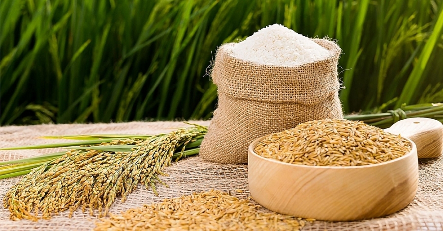 Triển vọng xuất khẩu gạo Pakistan lạc quan nhờ thị trường Trung Quốc 1122 xkgao