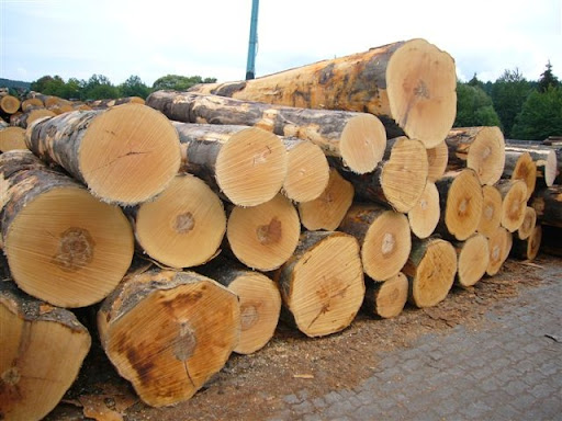 Giá gỗ và đồ nội thất xuất khẩu có thể thiết lập mặt bằng mới? unnamed 6 16387844555931440688593