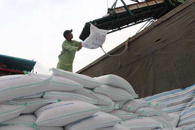 Doanh nghiệp có thể bị thu hồi giấy phép nếu không xuất khẩu gạo vnapotalangiangdaymanhtieuthunongsantrongboicanhdichcovid 195547507 16396729791081780460104