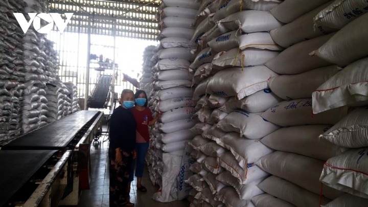 EVFTA mở ra cơ hội lớn chưa từng có cho gạo Việt gaomoi1 10092456