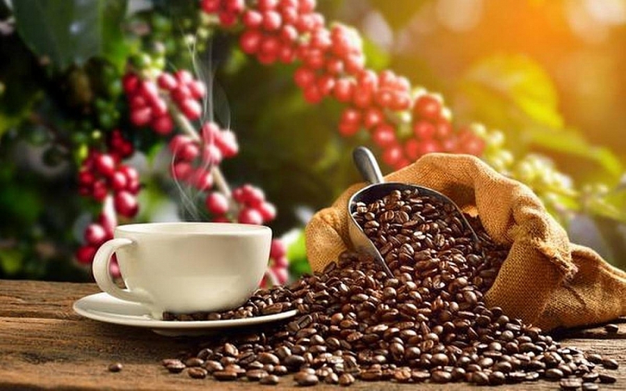 Xuất khẩu cà phê sang EU: Cách nào gia tăng thị phần? f5811ce2f4f3f137e03037eba97f3be4