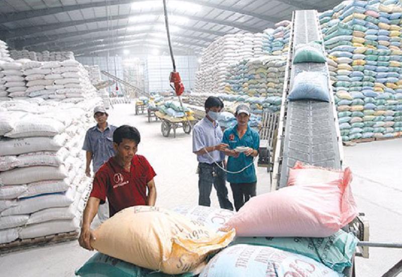 Xuất khẩu gạo cán mốc 1 tỷ USD, dự báo sẽ còn nhiều đột phá gao xuat khau 1