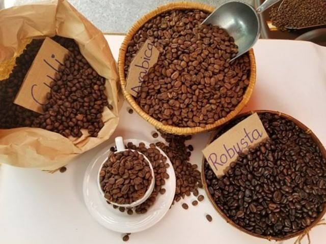 Xuất khẩu cà phê sẽ gặp khó khăn tại thị trường EU trong năm 2023 nganh ca phe viet nam gat hai nhieu thanh cong trong nam 2022 20221228144740 4511