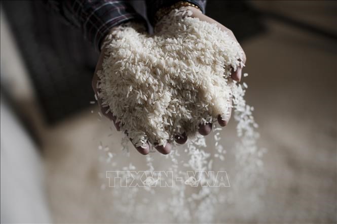 Philippines cân nhắc gia hạn giảm thuế nhập khẩu gạo và hàng hóa gao