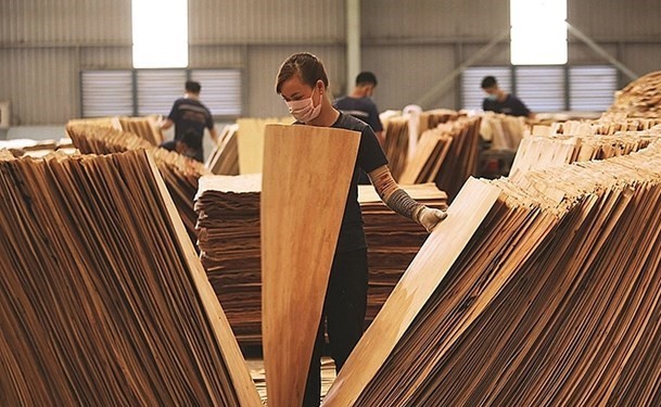 Cách nào để xuất khẩu gỗ ổn định và bền vững sang thị trường Hoa Kỳ? cach nao de xuat khau go on dinh va ben vung sang thi truong hoa ky 20231217194505