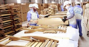 Tín hiệu tốt cho xuất khẩu đồ gỗ xuat khau go sang hoa ky da khoi phuc da tang truong 20231215173355 310x165