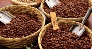 Giá cà phê xuất khẩu tăng mạnh, cà phê Robusta chính thức vượt ngưỡng 4.000 USD/tấn caphe20240417092955 310x165