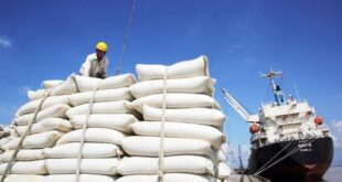 Xuất khẩu gạo của Việt Nam đạt hơn 2,1 triệu tấn trong quý I-2024 xuat khau gao 310x165