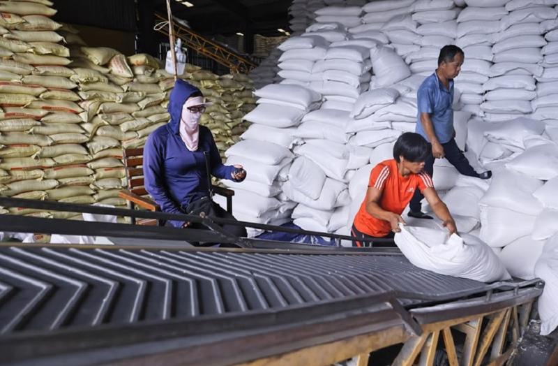 Xuất khẩu gạo đầu năm 2025: Giá xuống thấp, doanh nghiệp lo lắng vì đơn hàng giảm mạnh 230840dd ed51 4f23 9561 2cd60f7fa158