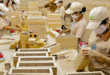 Gần 100 doanh nghiệp xuất khẩu gỗ dán cứng sang Hoa Kỳ bị điều tra kép Gan 100 doanh nghiep xuat khau go dan cung sang Hoa Ky bi dieu tra 110x75