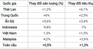 Tiêu thụ cao su toàn cầu năm 2025 dự báo vượt sản lượng 650.000 tấn Tieu thu cao su toan cau nam 2025 du bao vuot san luong 650