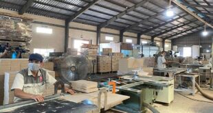 Ngành gỗ Việt Nam: tìm hướng đi mới để tồn tại go xk 320250611070810 310x165
