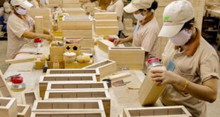 Xuất khẩu gỗ và sản phẩm gỗ cần những bước đi chiến lược mới xkg1 310x165